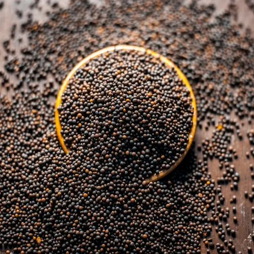 Mustard  seeds ( raai )