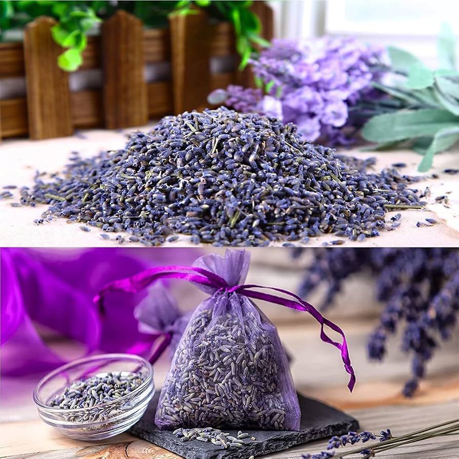 Lavender