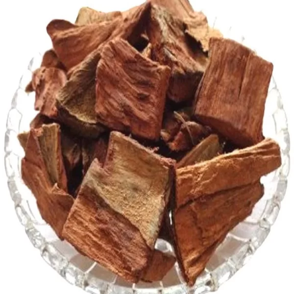 ARJUN CHAAL