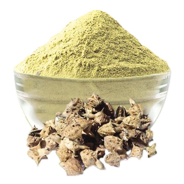 GOKHRU BADA POWDER