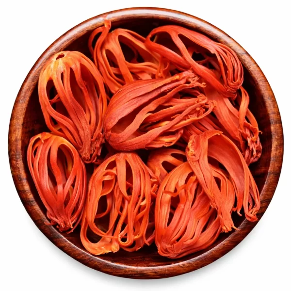JAVTRI RED